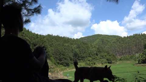 【木易苏野趣】楚歌的日常生活